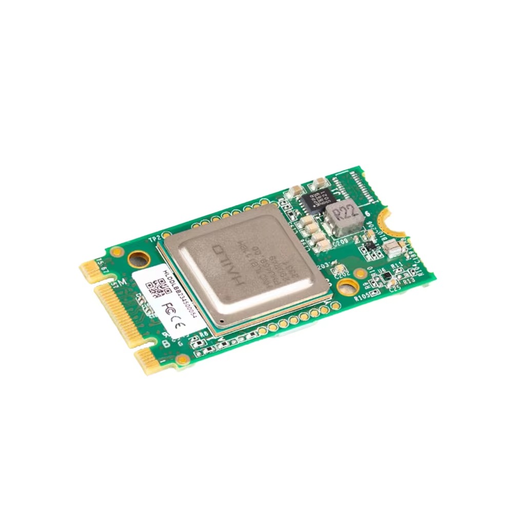 Raspberry PI 5 AIキット HAILO8L A - Raspberry Pi 5 のレビューと価格