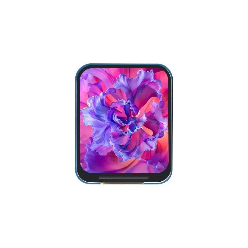 1.69 インチ IPS LCD モジュール ST7789V - Pi Zero のレビューと価格